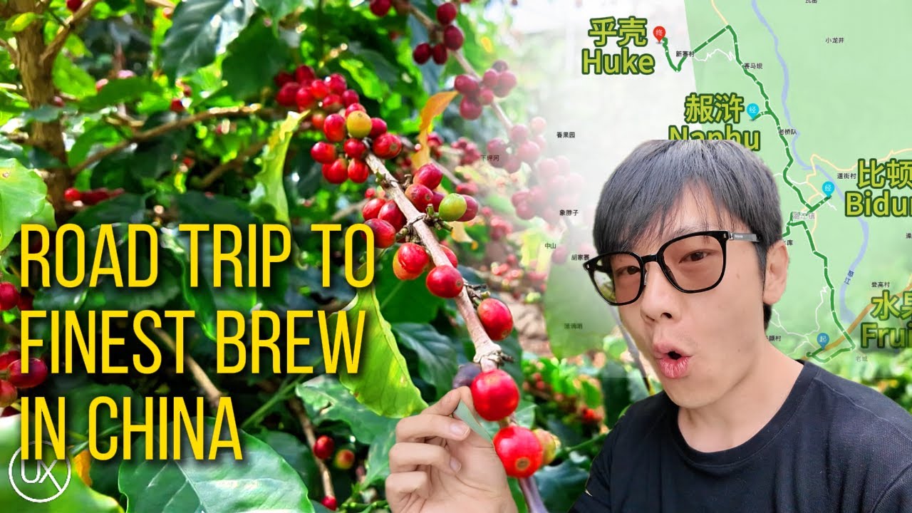 The ULTIMATE China Coffee Road Trip