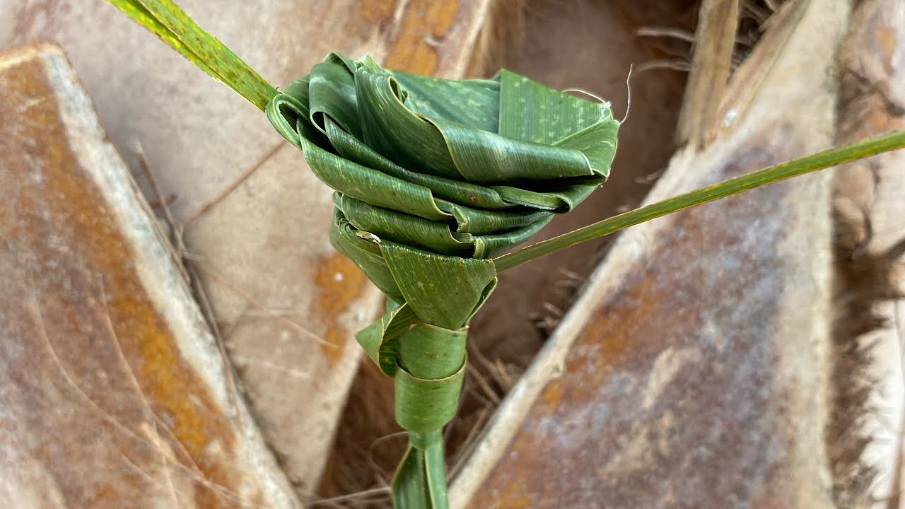 Palm rose 2
