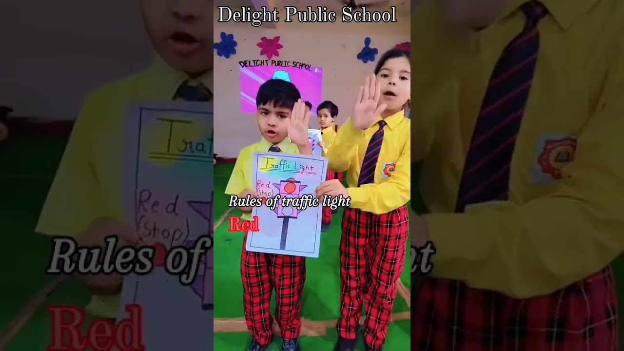 Rules of traffic light activity
