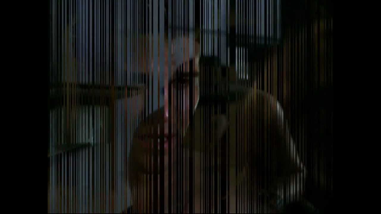 Angel/Buffy - My Heart Is Broken.wmv