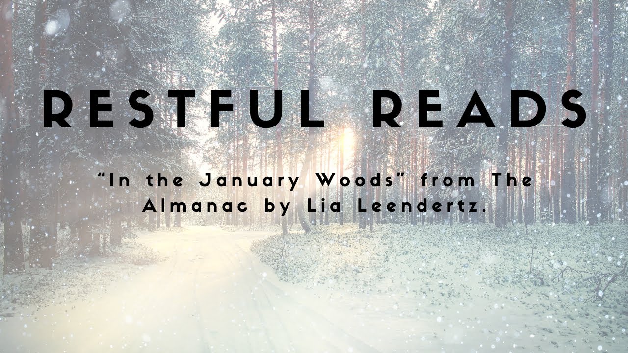 RESTFUL READS | IN THE JANUARY WOODS | THE ALMANAC | LIA LEENDERTZ