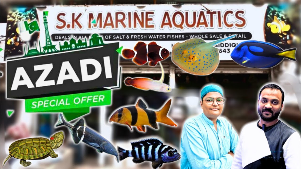 Azadi Special Offer🐟🐠 | S.K Marine Aquatics Big Sale | Exotic Fish Collection 2025 lalukhet Karachi 