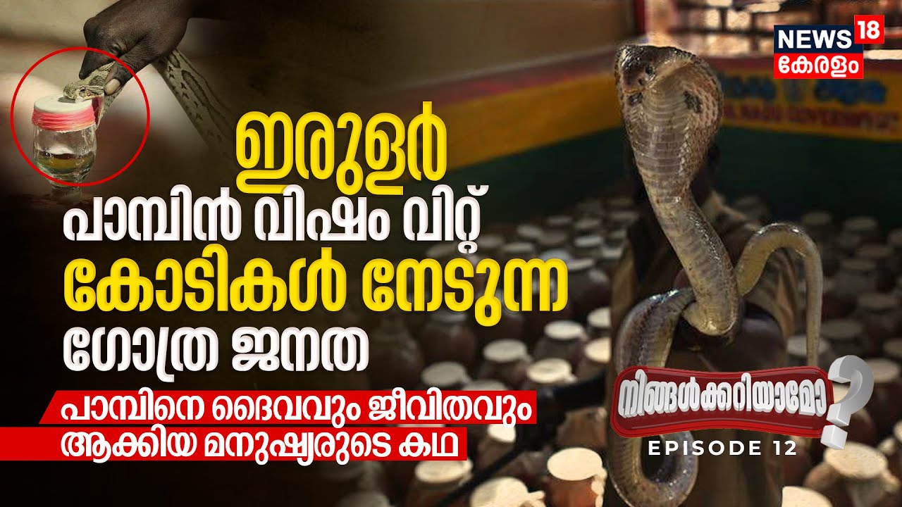 Ningalkkariyamo? Irula Tribe Snake Catchers, പാമ്പിൻ വിഷം വിറ്റ്‌ കോടികൾ നേടുന്ന ഗോത്ര ജനതയുടെ കഥ