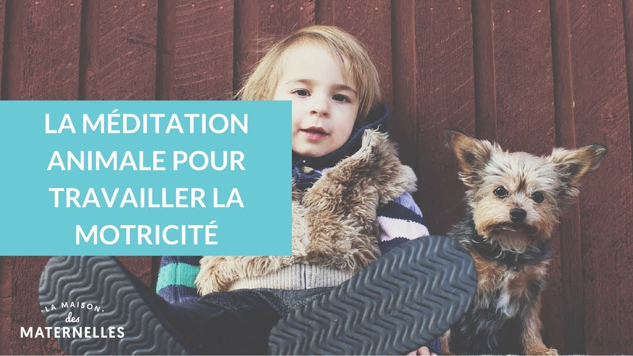 La médiation animale pour travailler la motricité - La Maison des Maternelles #LMDM