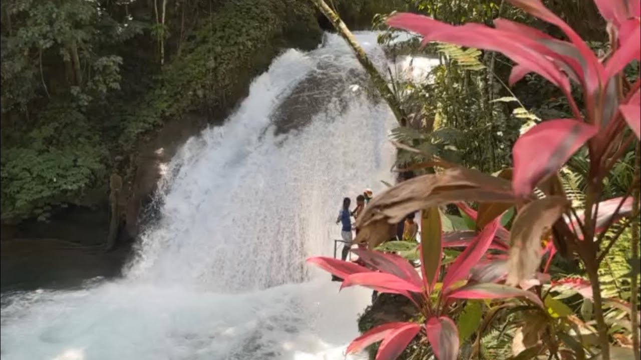 River tubing and blue hole with lunch Review Royal Caribbean Falmouth Jamaica