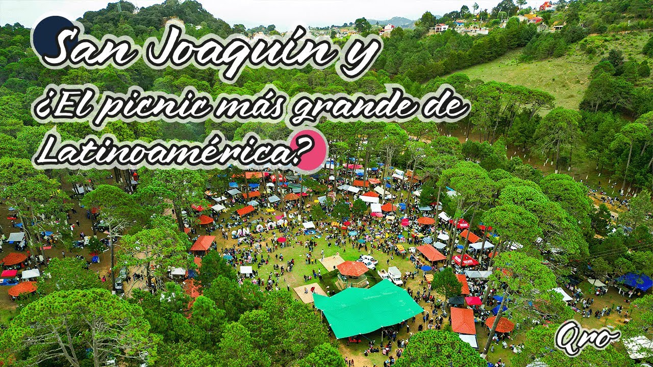 Campo Alegre en San Joaquín y la Comida de la Amistad | Pinshi Millenial