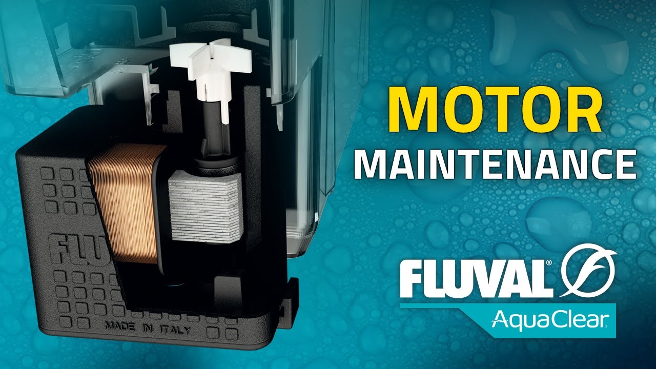 HOW TO: Fluval AquaClear Motor Maintenance