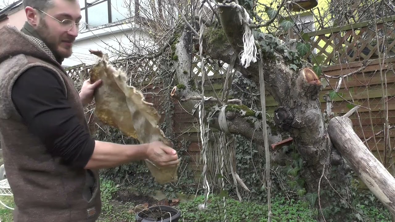 Rehfell Rehleder Gerben: Endbearbeitung Weichmachen