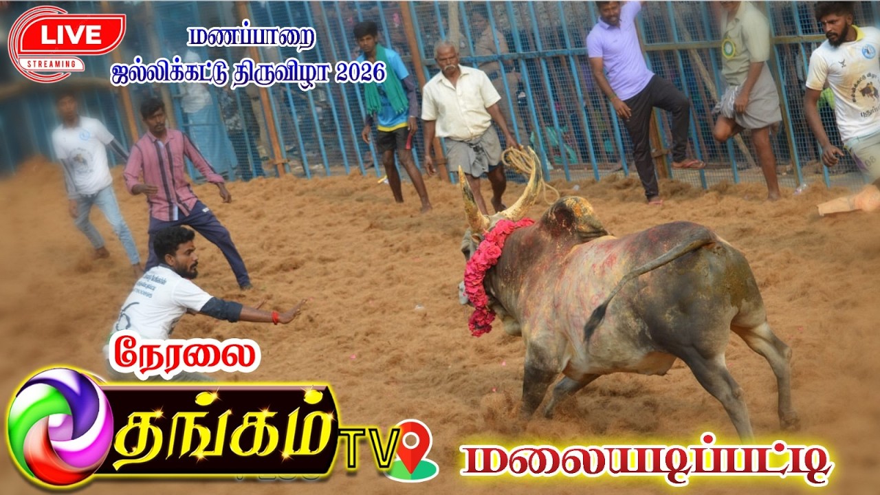 🔴 Live | மலையடிப்பட்டி  ஜல்லிக்கட்டு 2026, திருச்சி மணப்பாறை live malaiyadipatty