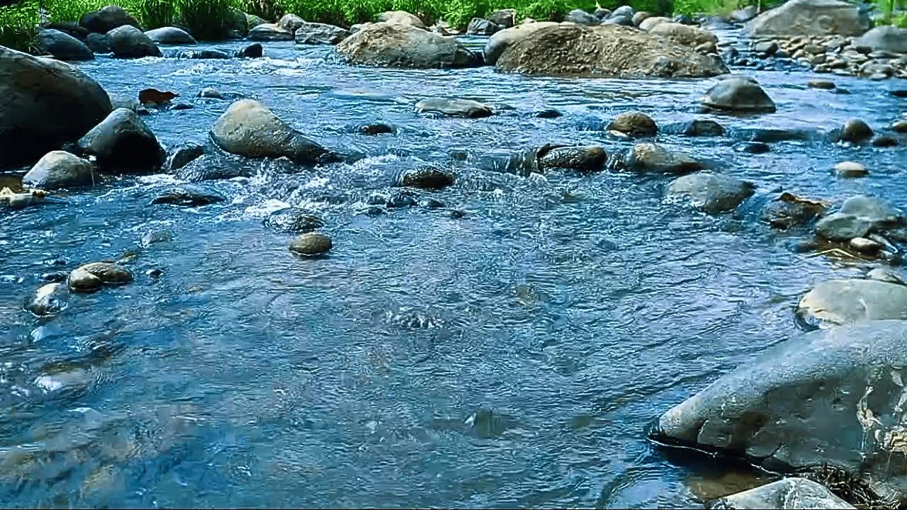 Goodbye Stress to Sleep Soundly with Close-Up River Sounds & Rapid Water Flow in Green Rainforest #1