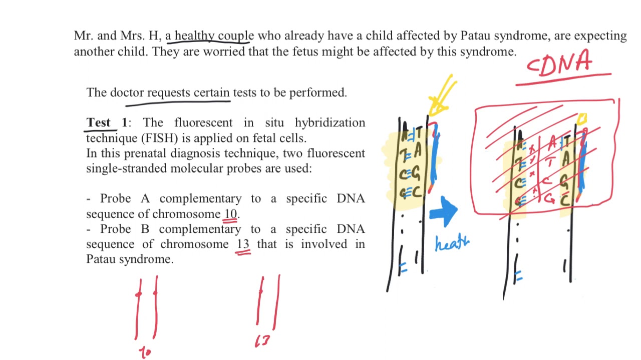 Grade 12 #2 Official exams Heredity (2018 2nd session)
