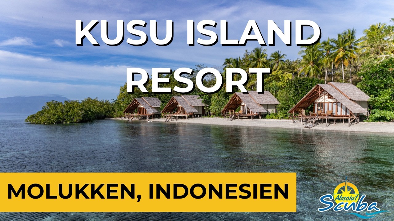 Absolut Scuba Tauch- & Spezialreisen: Tauchen auf Kusu Island, Molukken, in Indonesien