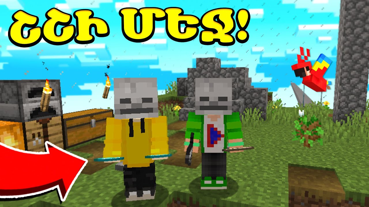 ԵՍ ՈՒ ՊԻԼԻՆ ՀԱՅՏՆՎԵՑԻՆՔ ՇՇԻ ՄԵՋ?! Minecraft Hayeren