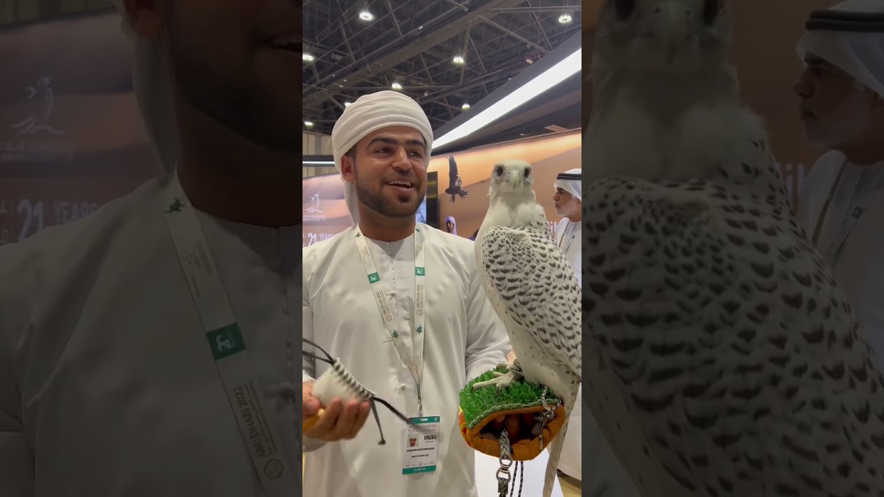 𓅃 White Falcon in Abu Dhabi 𓅃 ADIHEX2022 𓅃