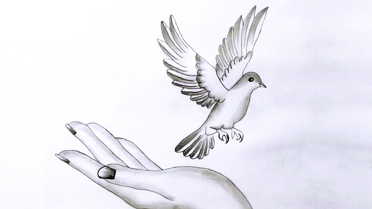 SO Beautiful Scenery Drawing of Hand on the Bird || Pencil sketch || Scenery Drawing Easy.