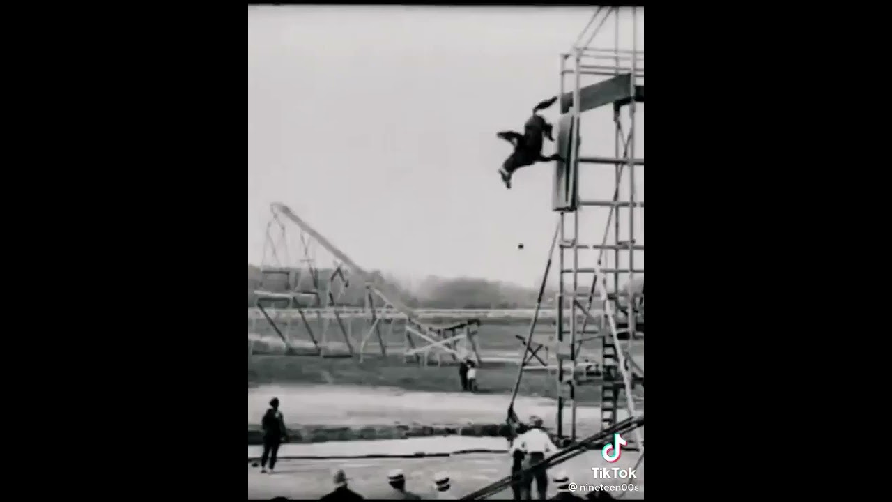 Horse diving 1923 world record  I can’t believe this was a thing