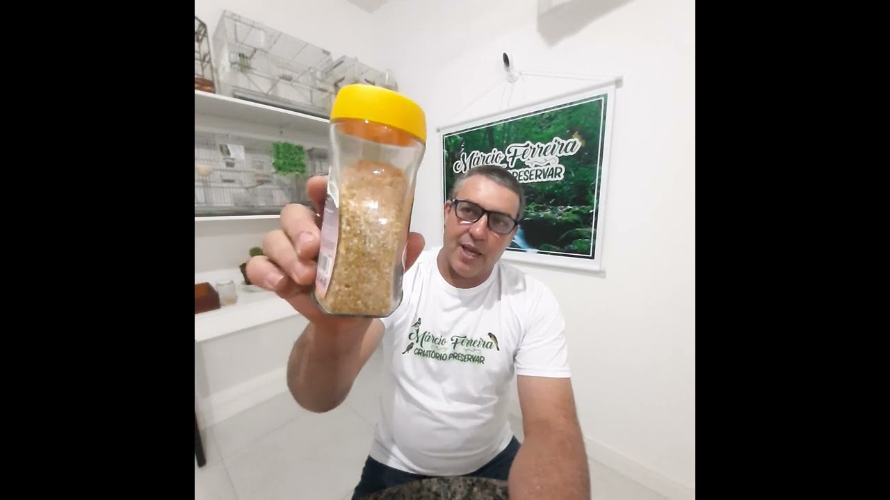 Como fazer o seu papa-capim a se alimentar só de extrusada.