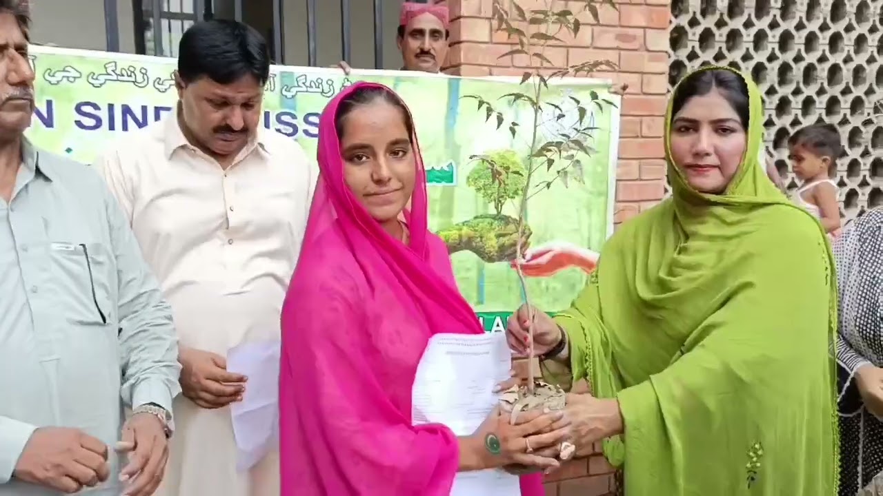 Green Sindh Green Pakistan plantation Drive 2024💚