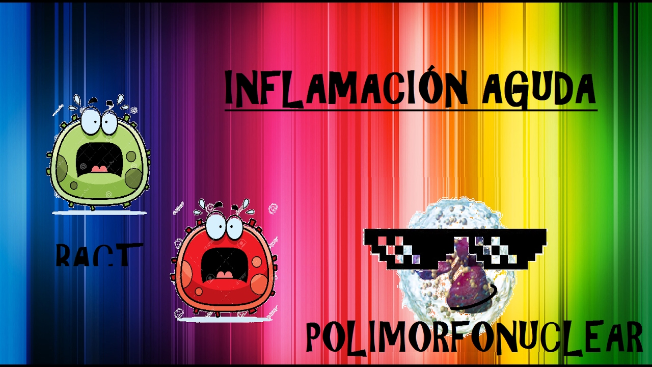 INFLAMACION AGUDA F&Aacute;CIL | EdwarCool