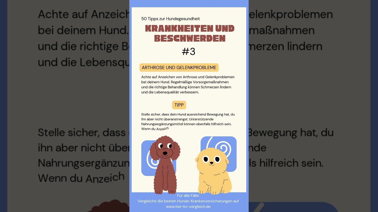 Krankheiten + Beschwerden #3: Gelenkprobleme frühzeitig erkennen! 🦴🐕 