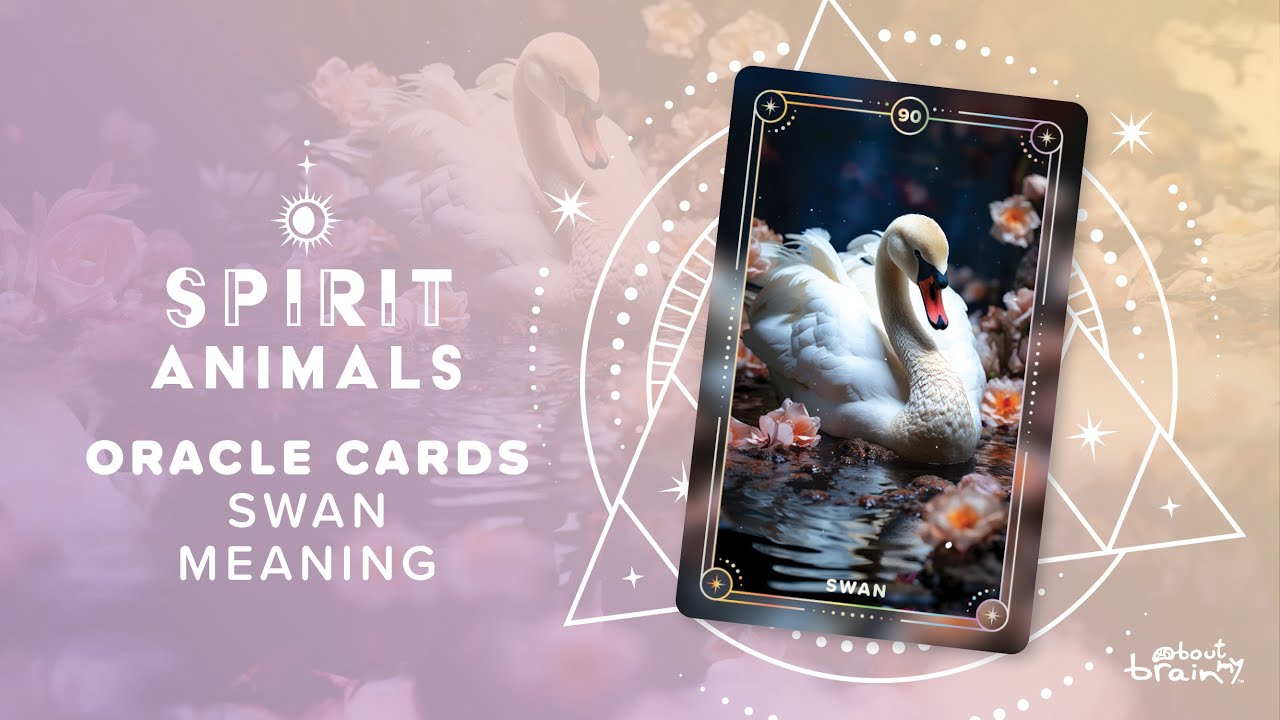 Swan Spirit Animal | Symbolism & Meaning Explained