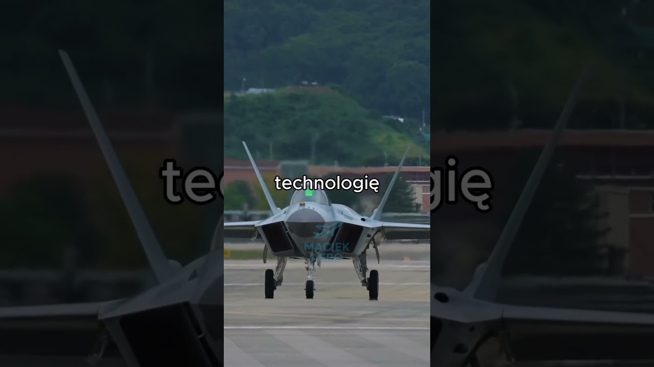 This plane is the key to Poland's independence! #ytshorts