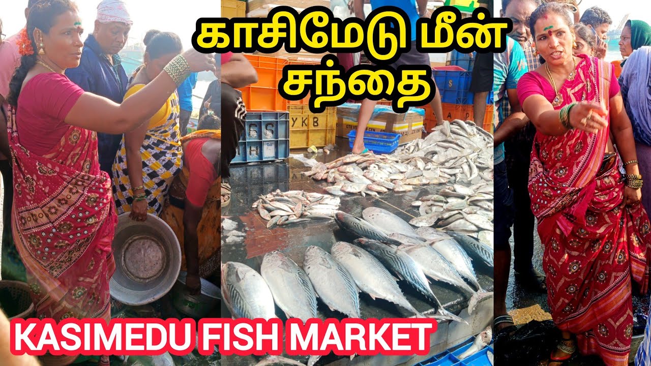 💥🦀காசிமேடு மீன் மார்க்கெட்|Kasimedu Fish Market #kasimedu#Vanagaram#Kasimedufishmarket