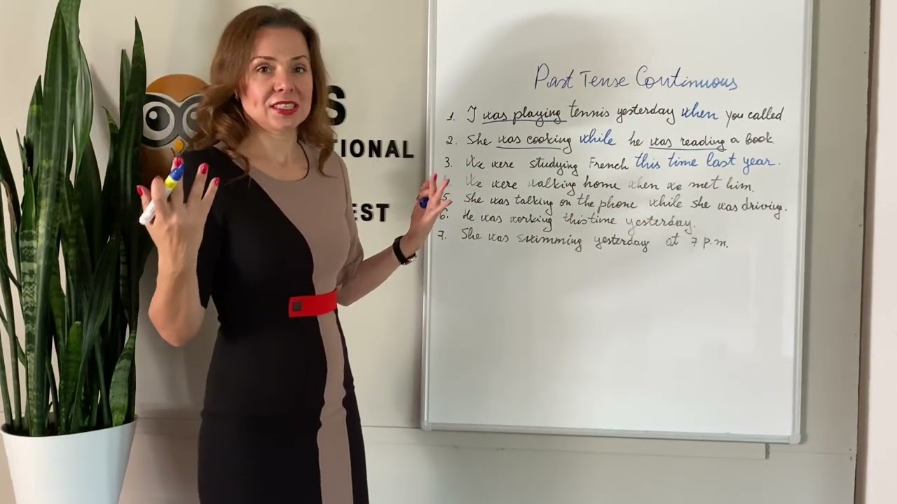 Trecutul Continuu in limba engleza/Past Continuous