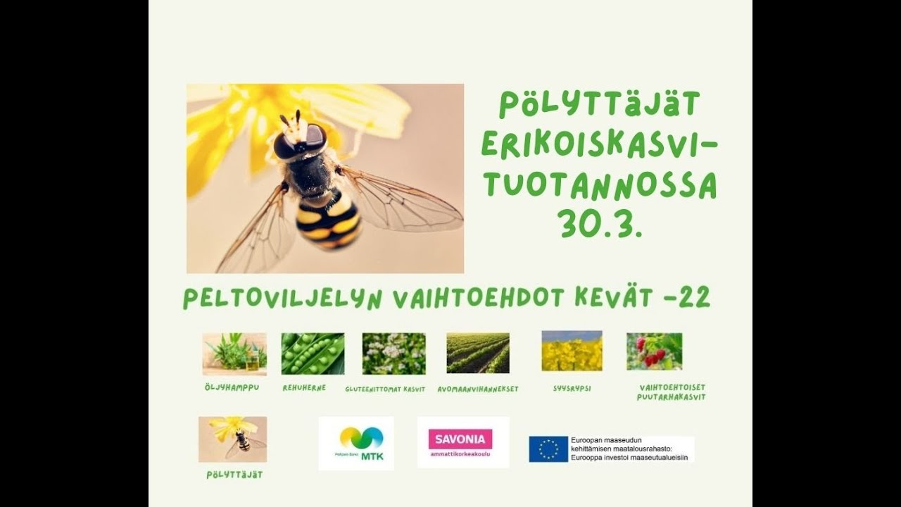 Pölyttäjät erikoiskasvituotannossa; käyttäminen ja kannattavuus