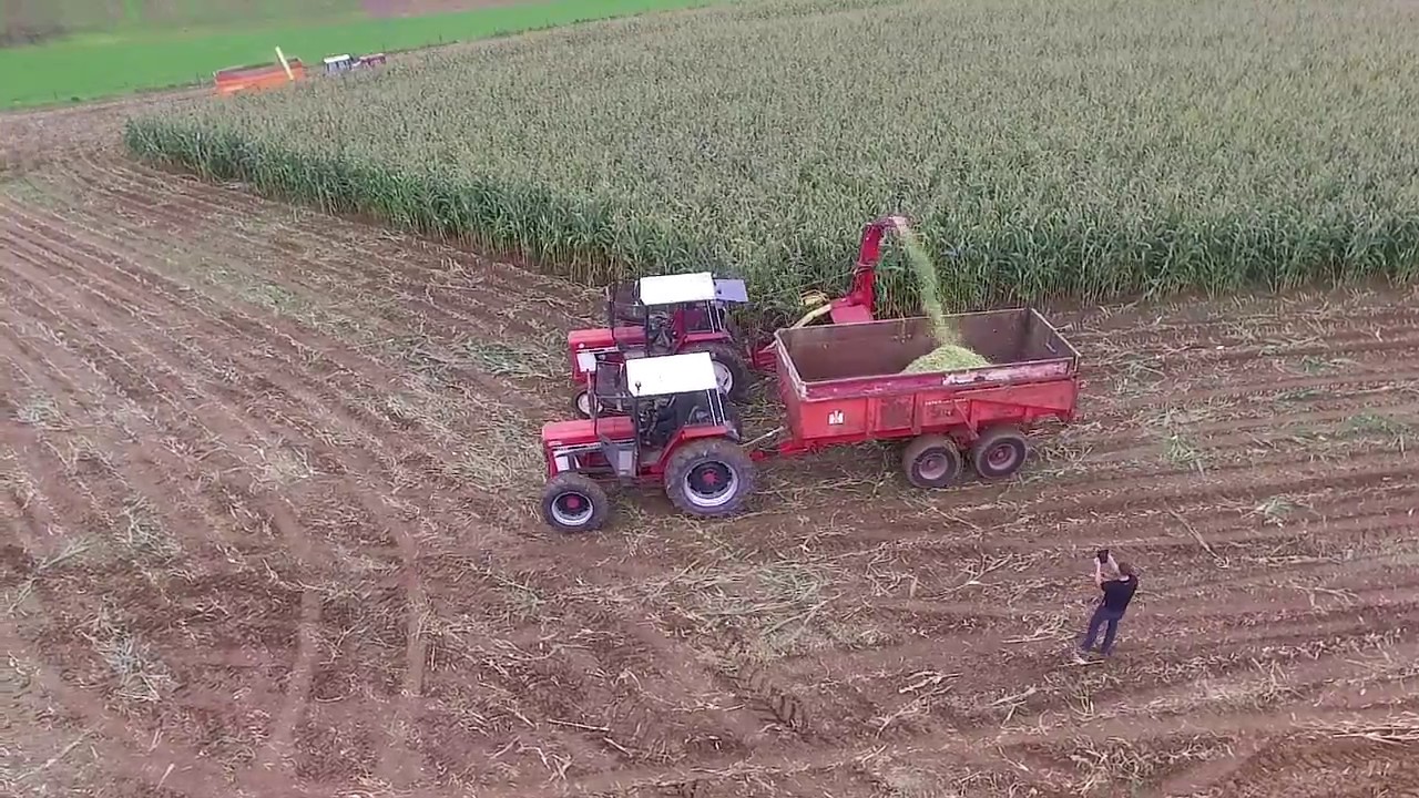 ENSILAGE A L'ANCIENNE 2017 A TARZY AVEC 3 TRACTEURS IH 1055 ET L'ENSILEUSE 2 RANGS NEW HOLLAND 719