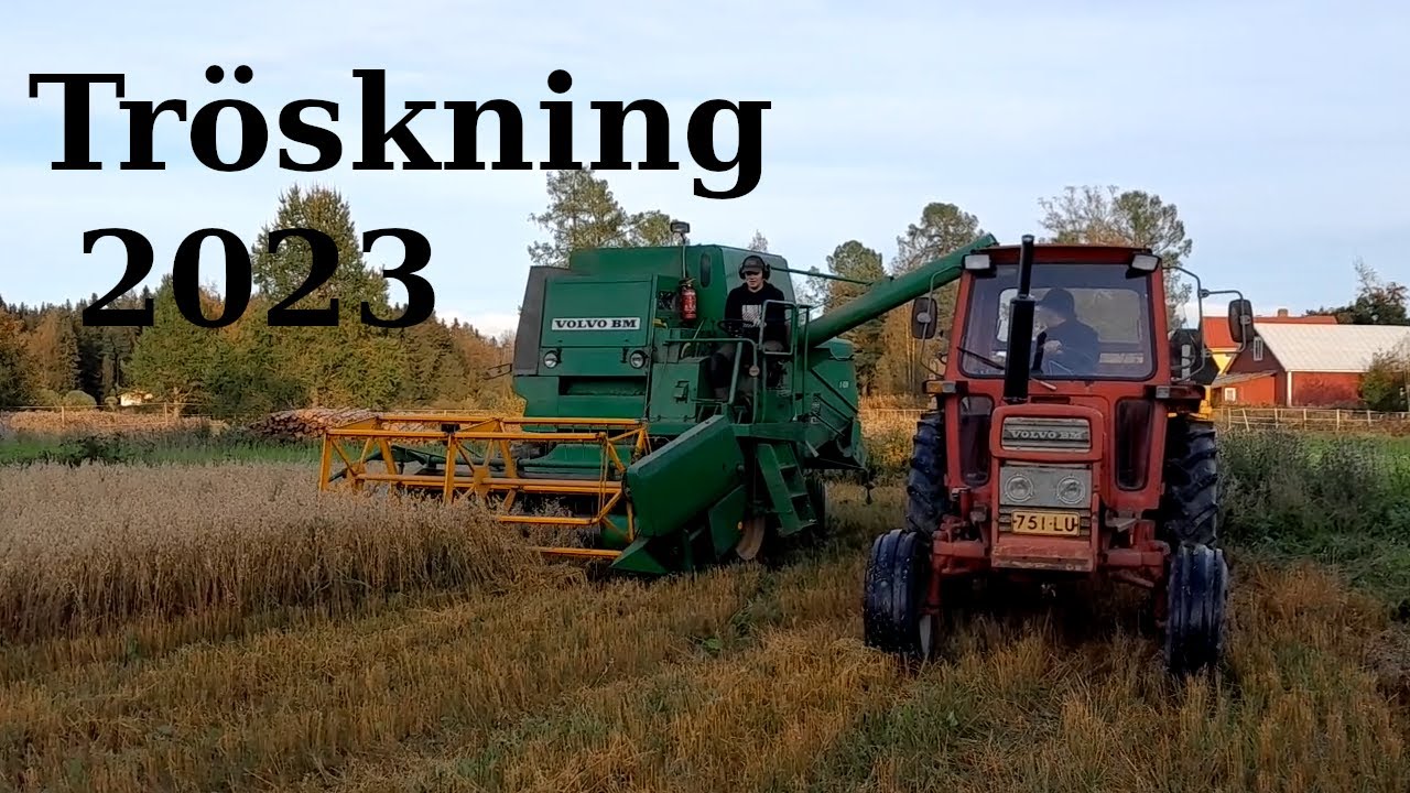 Havreskörd Med VOLVO BM S830 Och VOLVO BM T500