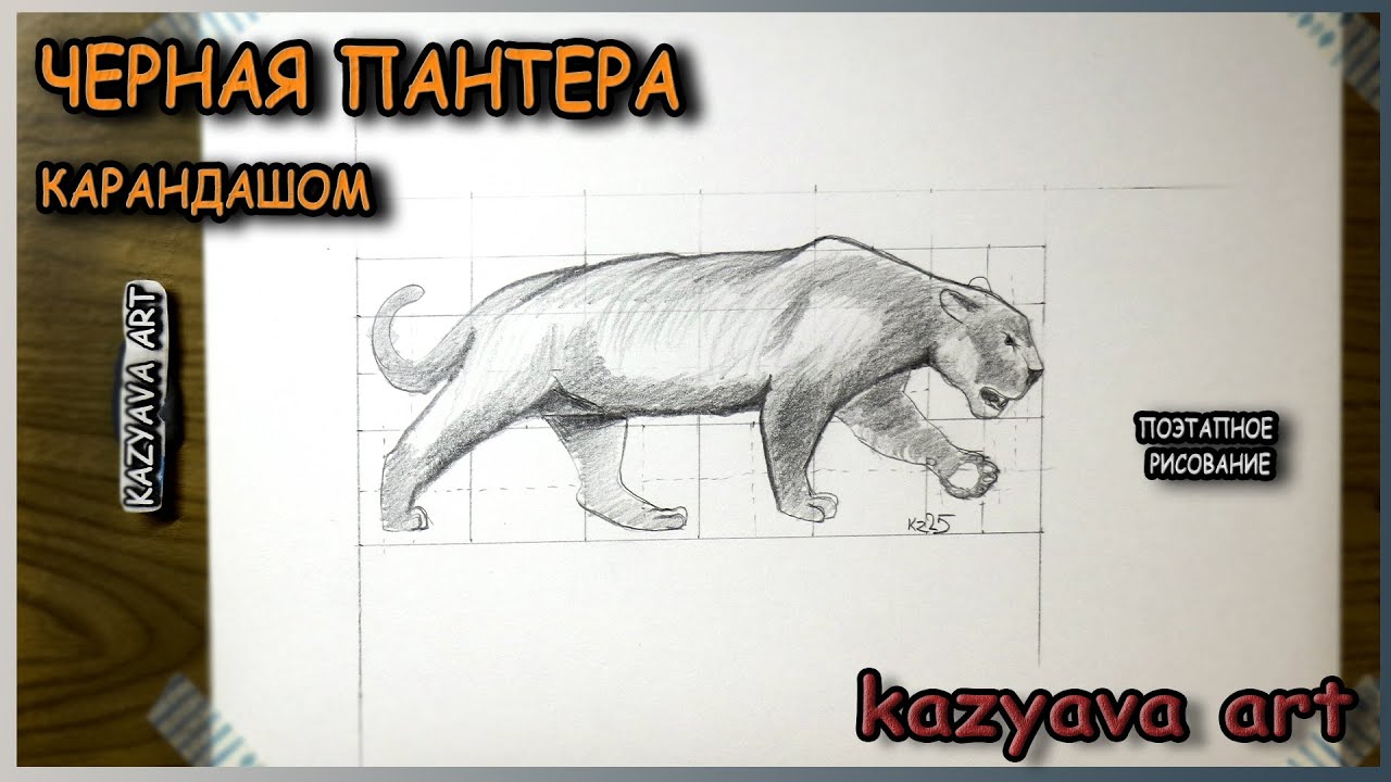 Как нарисовать ЧЕРНУЮ ПАНТЕРУ карандашом. Пошаговый урок.