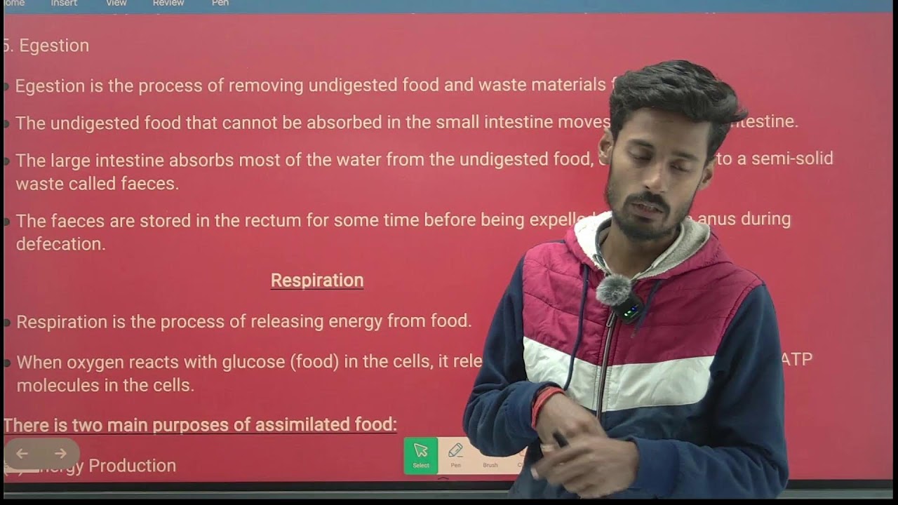 CH - 10 |LIFE PROCESS | CBSE