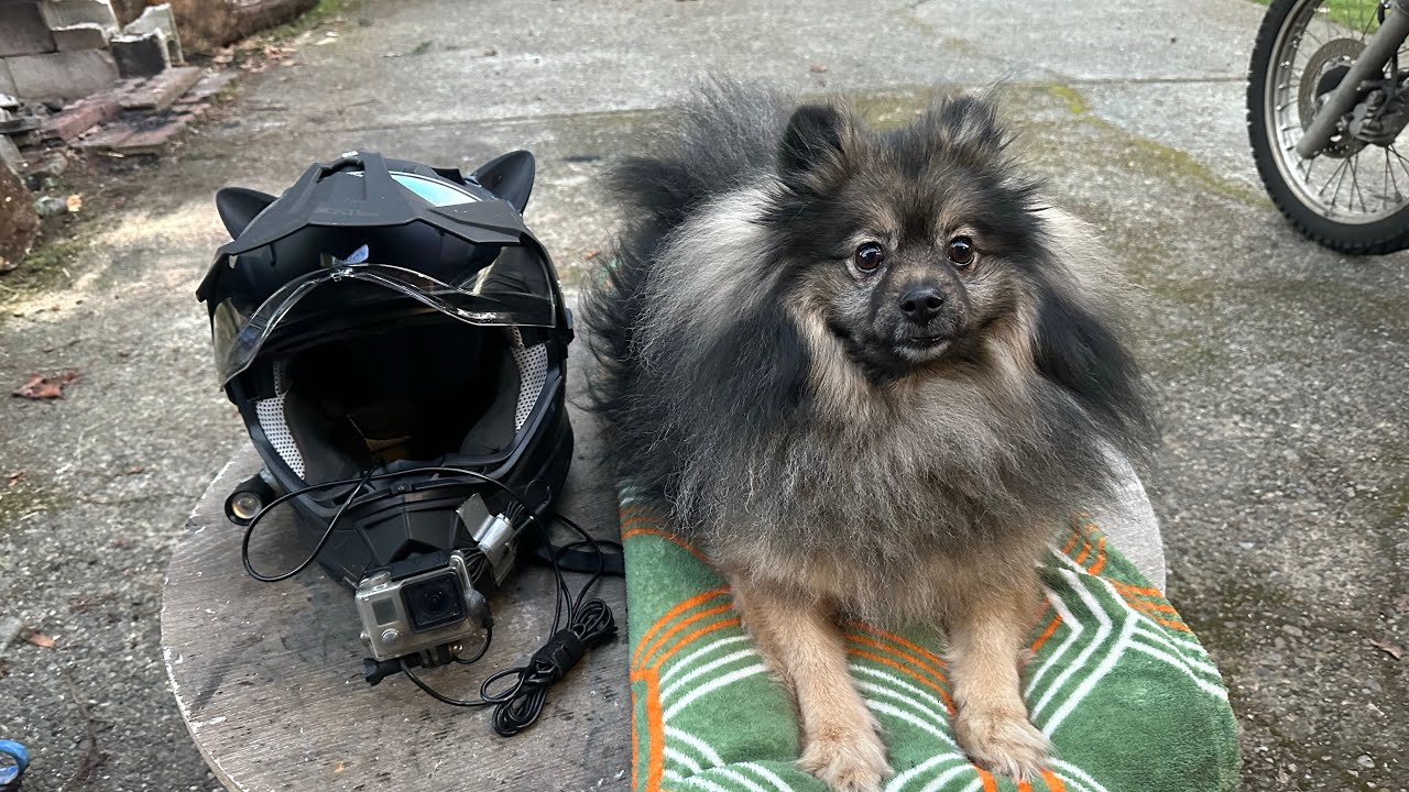 VE1337 Helmet Setup.  