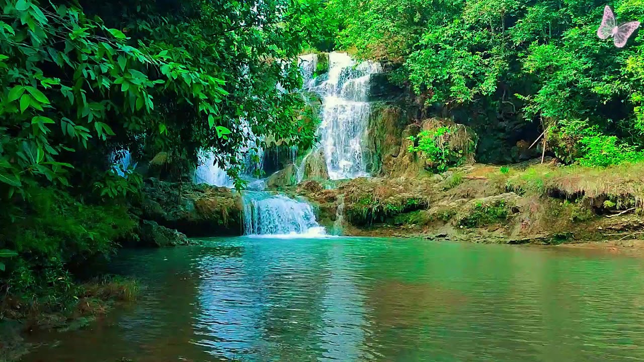 Healing Music for Stress, Anxiety & Depression 🌿 Calm Your Mind, Deep Sleep Relaxation 2