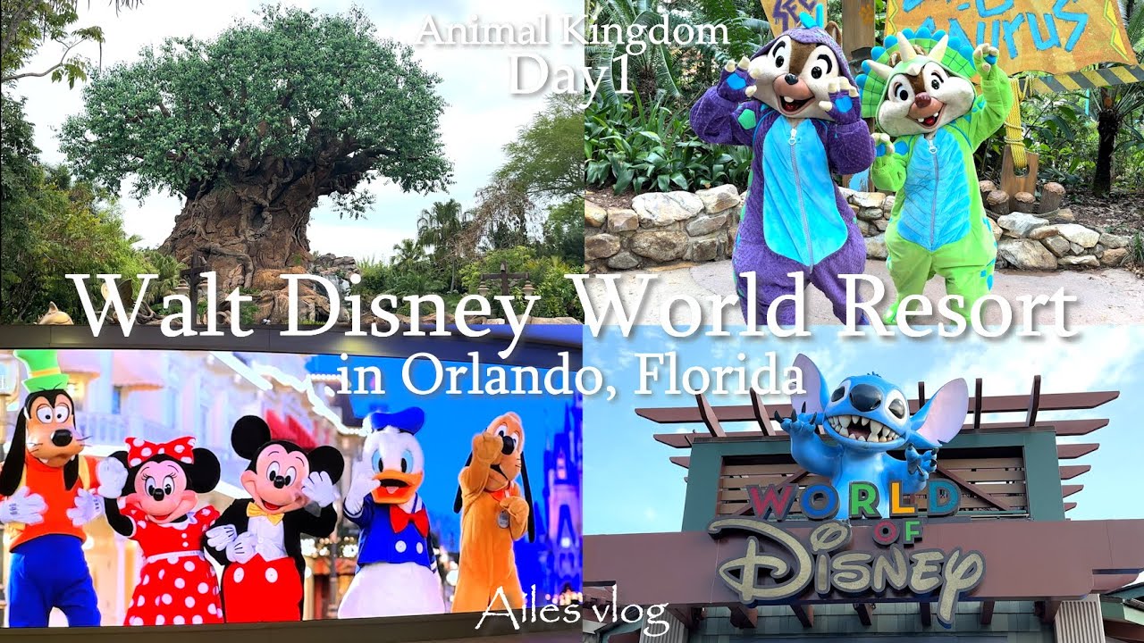 初✨大興奮だらけのフロリダ ウォルトディズニーワールド🏰vlog①｜エアカナダ✈アニマルキングダム🦁オールスターミュージックリゾート🎸
