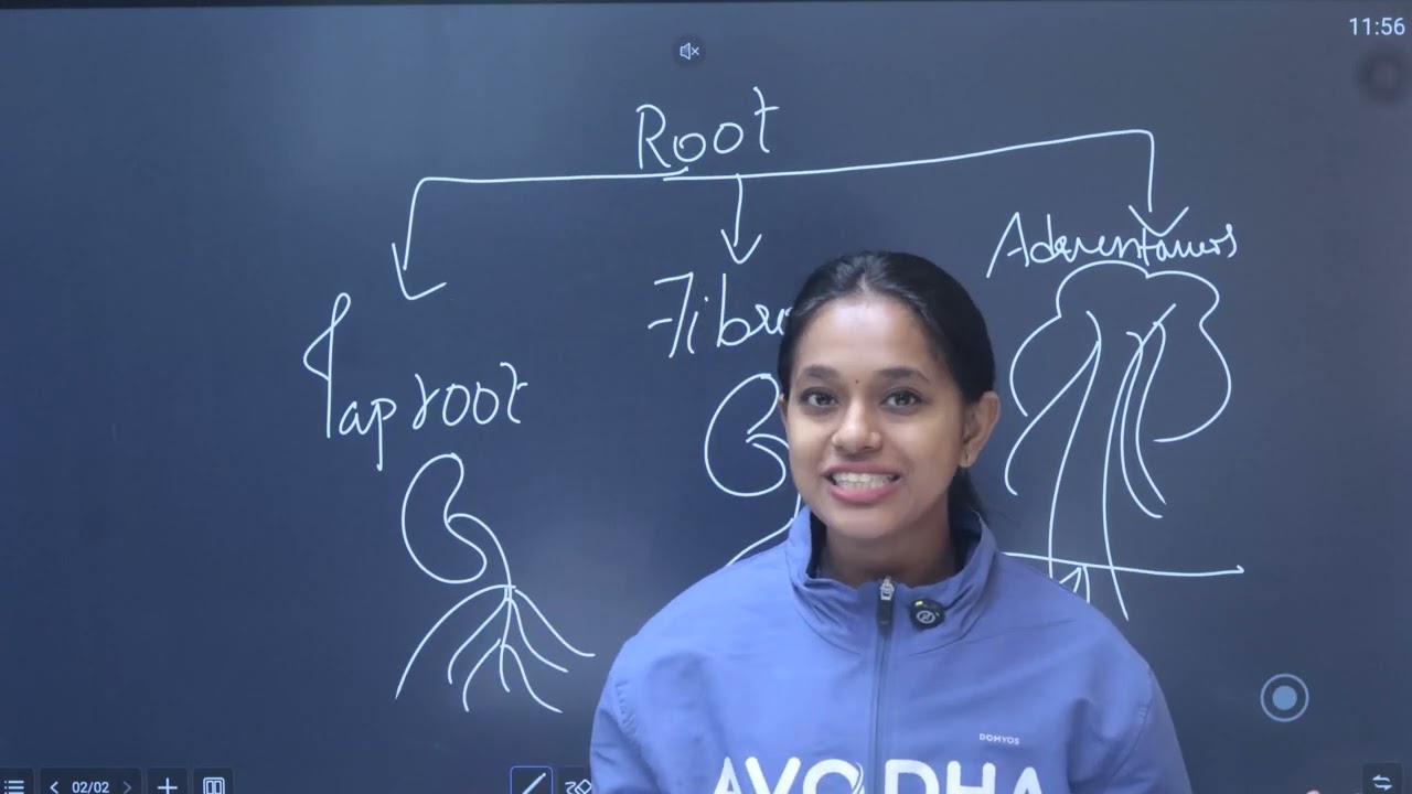 🌸 Angiosperms & Alternation of Generation 🌱✏️ | Plus One Botany 📘 | Avodha Free Learning Platform 🎓