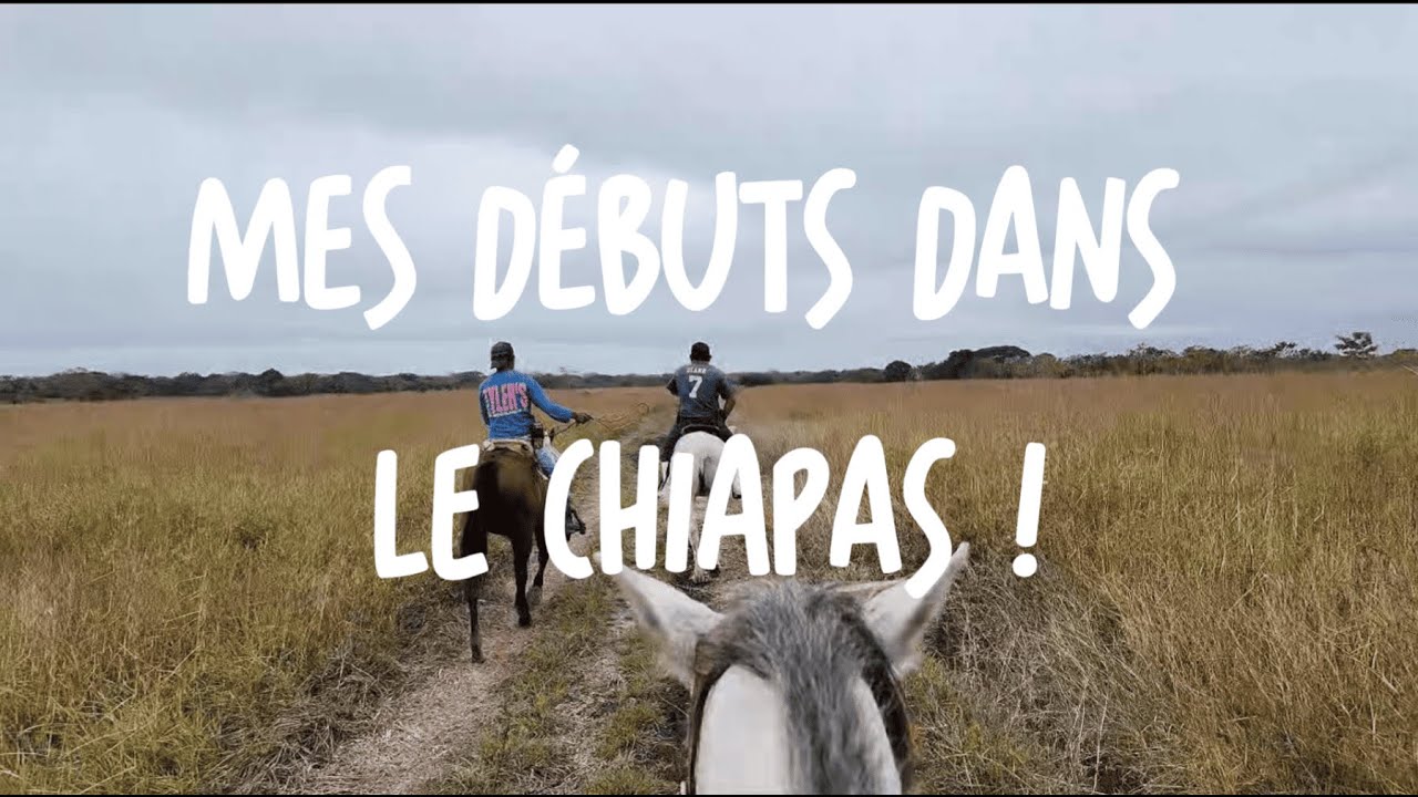 Mes débuts dans le Chiapas !!!