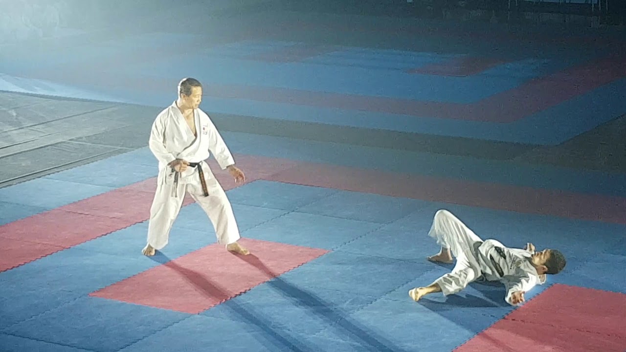 Kagawa Shihan/Nagaki Sensei Demonstration 2019