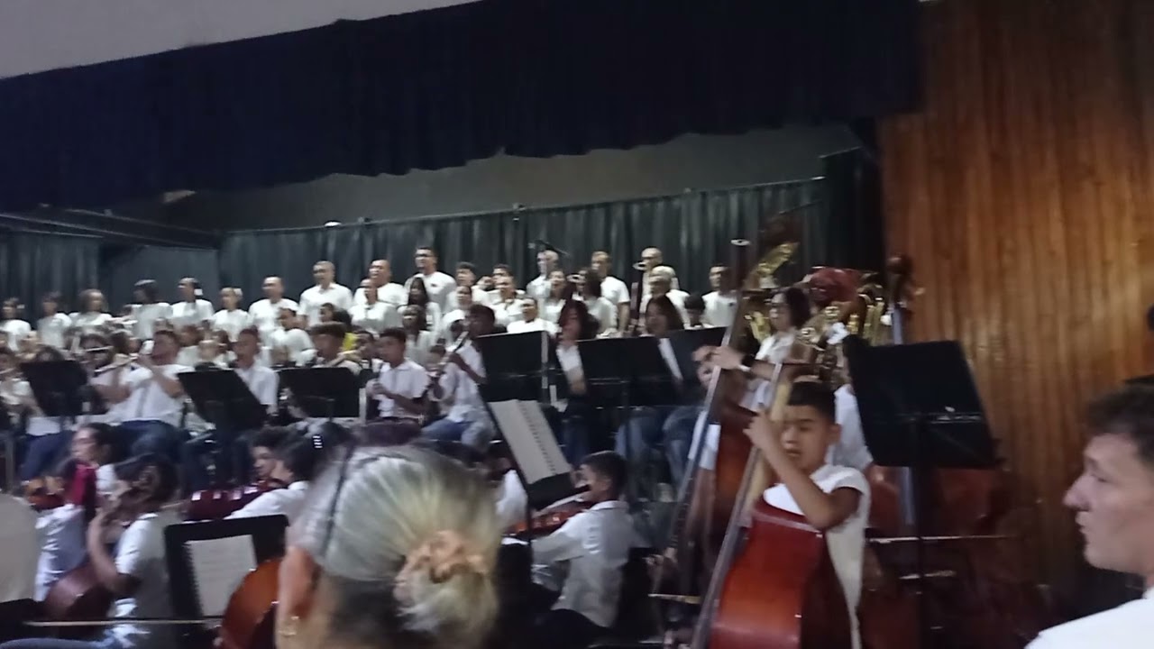 el himno de alegria 🎶🎵🎵