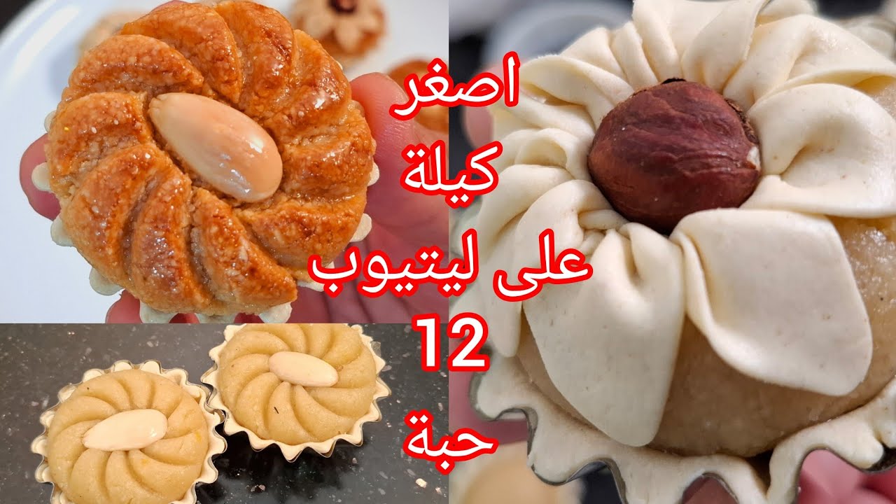 ورشة مجانية🇩🇿 /اصغر كيلة على ليتيوب دزيريات لمول بلكوكاو تحسبيهم بلوز ‼️ مع سر تعسال وتحميرة الهايلة