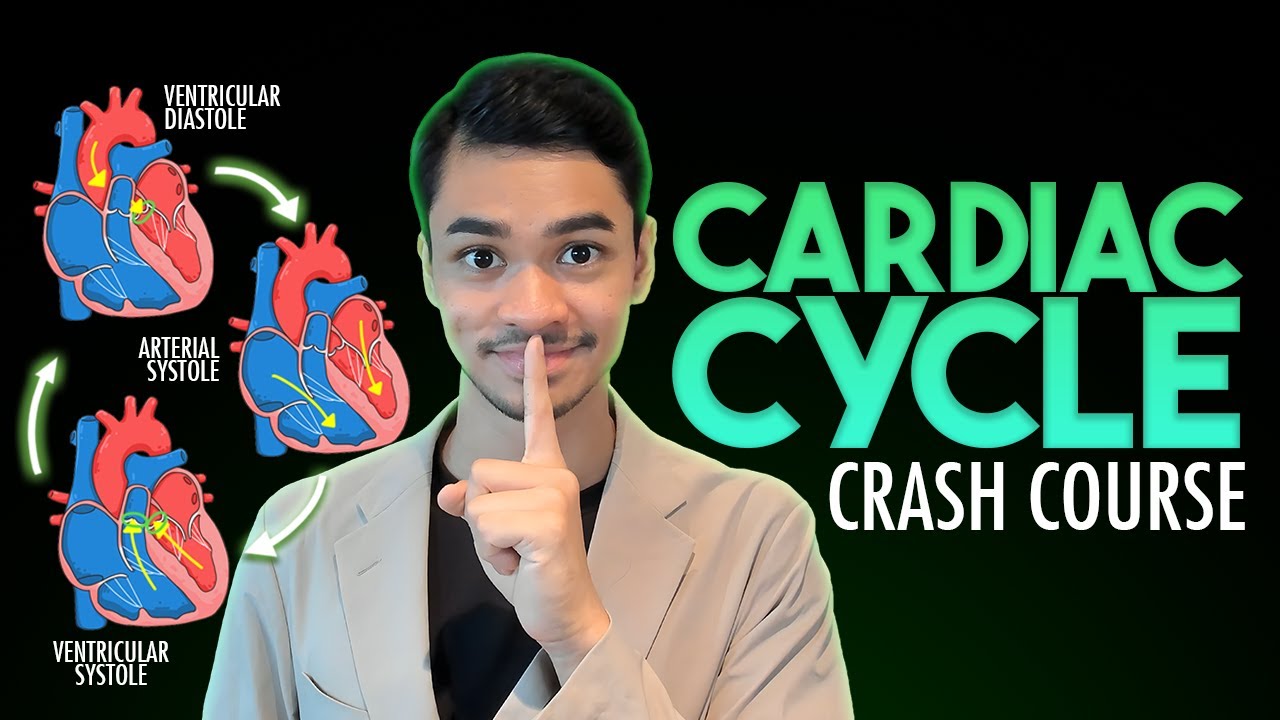 Cardiac Cycle Crash Course [In-Depth] - ThatBioTutor