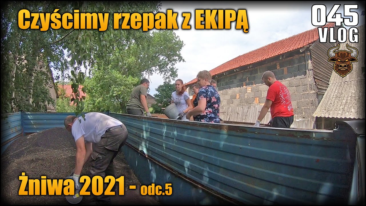 Ręczne czyszczenie rzepaku z ekipą :) | Ciąg dalszy rzepakowego dramatu | Vlog #45