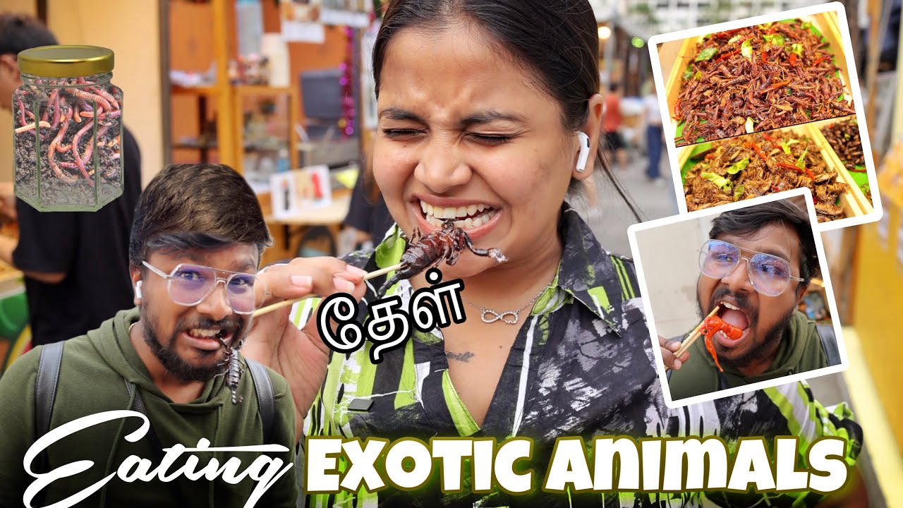 Tasting the World's Most *UNBELIEVABLE* Street Food! 😋 Unbelievable Exotic Dishes 🔥