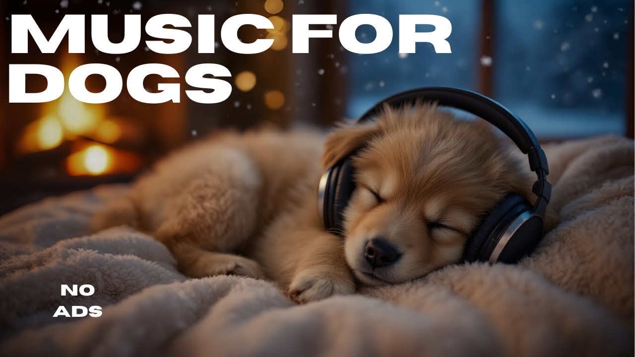 Soft Calming Music for Dogs 🌙 11 Hour Mix