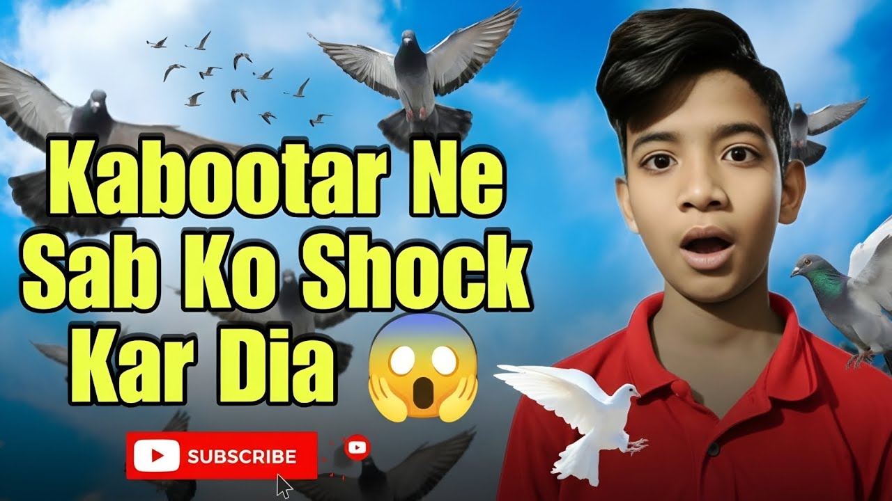 This Pigeon Shocked Everyone 😱 | Shocking Pigeon | Kabootar Ne Sab Ko Shock Kar Dia 😱