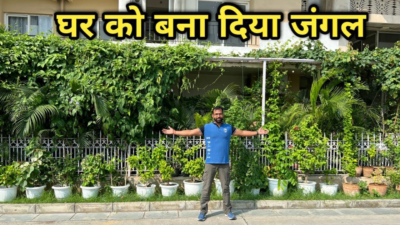 घर को बना दिया जंगल | Flat को बना डाला जंगल तैयार किया