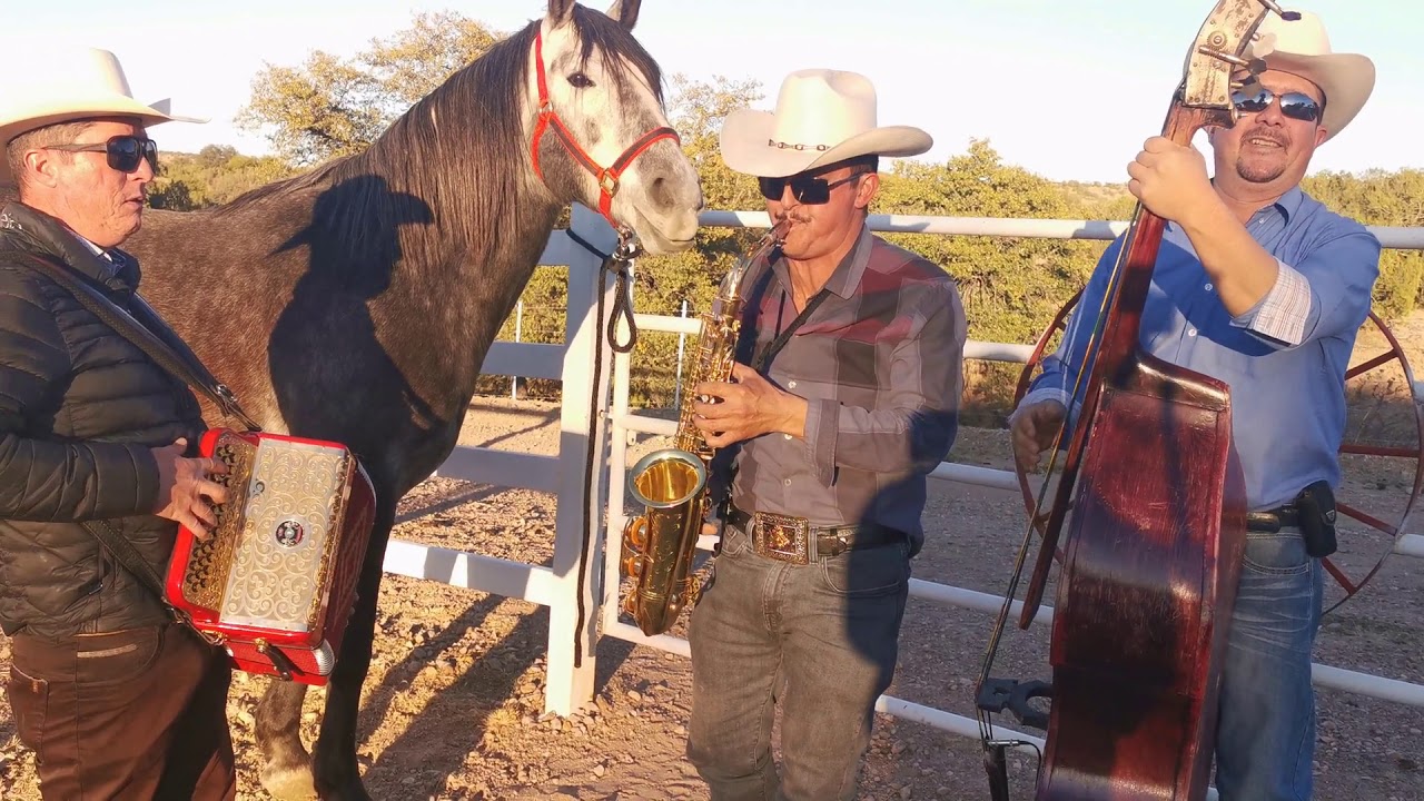 LOS GARCÍA DE PARRAL OFICIAL 