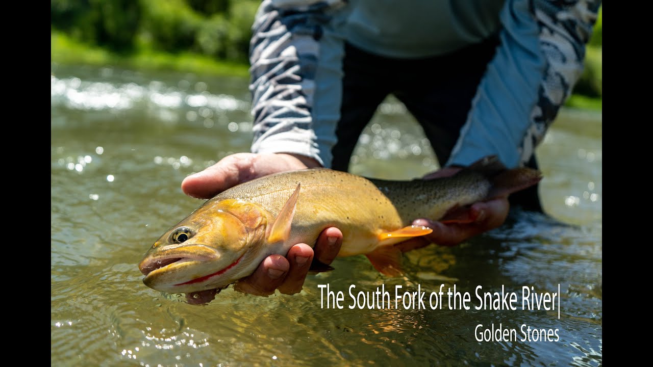 South Fork of the Snake River| Golden Stones