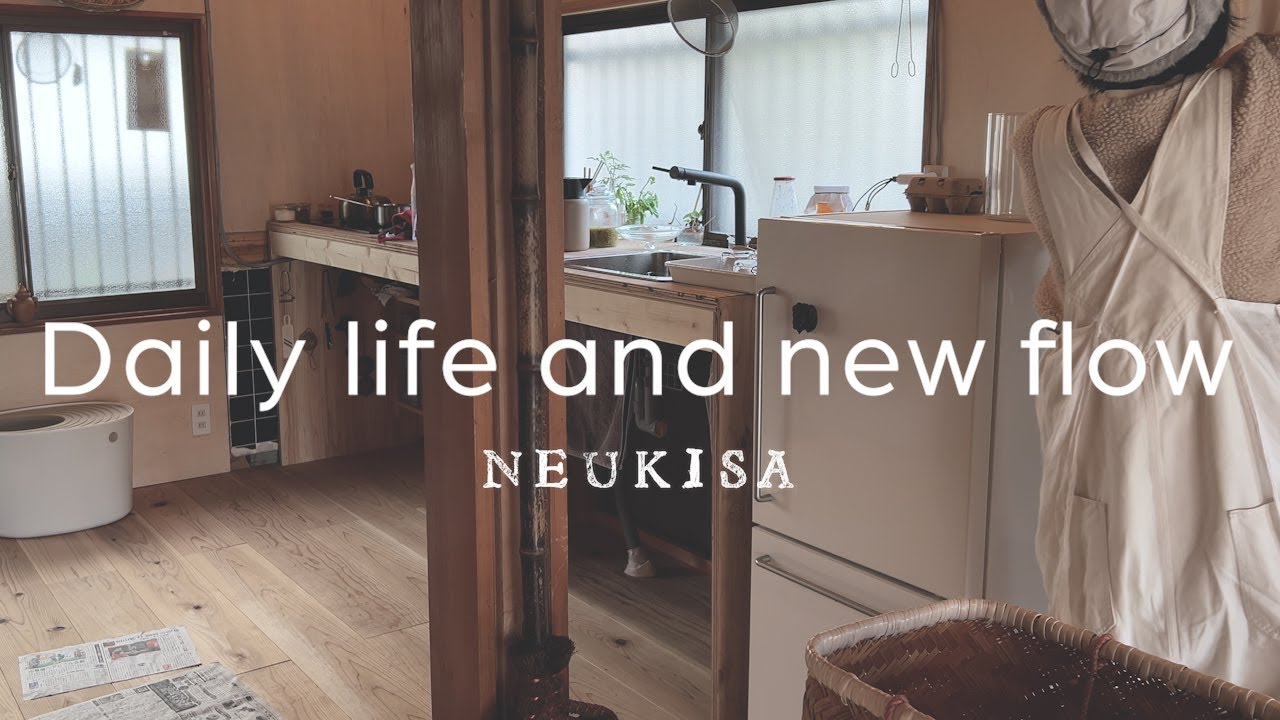 vlog／日常の中の新しい流れ、新入りちゃん❤️